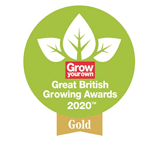 Spear & Jackson 3048EL Select Nóż do pielenia z podpórką, ze stali nie - obrazek 2