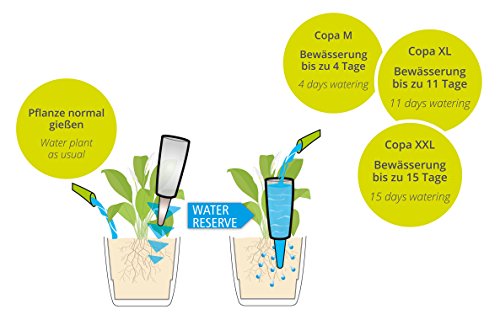 Scheurich 58869 Copa XXL, dozownik wody z tworzywa sztucznego i stożek - obrazek 4