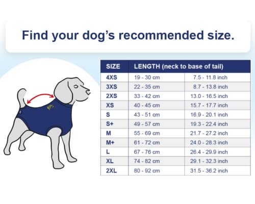 MPS Koszula medyczna dla psa, kombinezon do regeneracji chirurgicznej, - obrazek 2