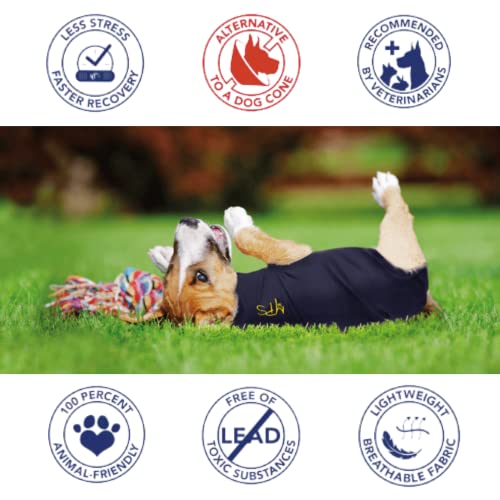 MPS Koszula medyczna dla psa, kombinezon do regeneracji chirurgicznej, - obrazek 4